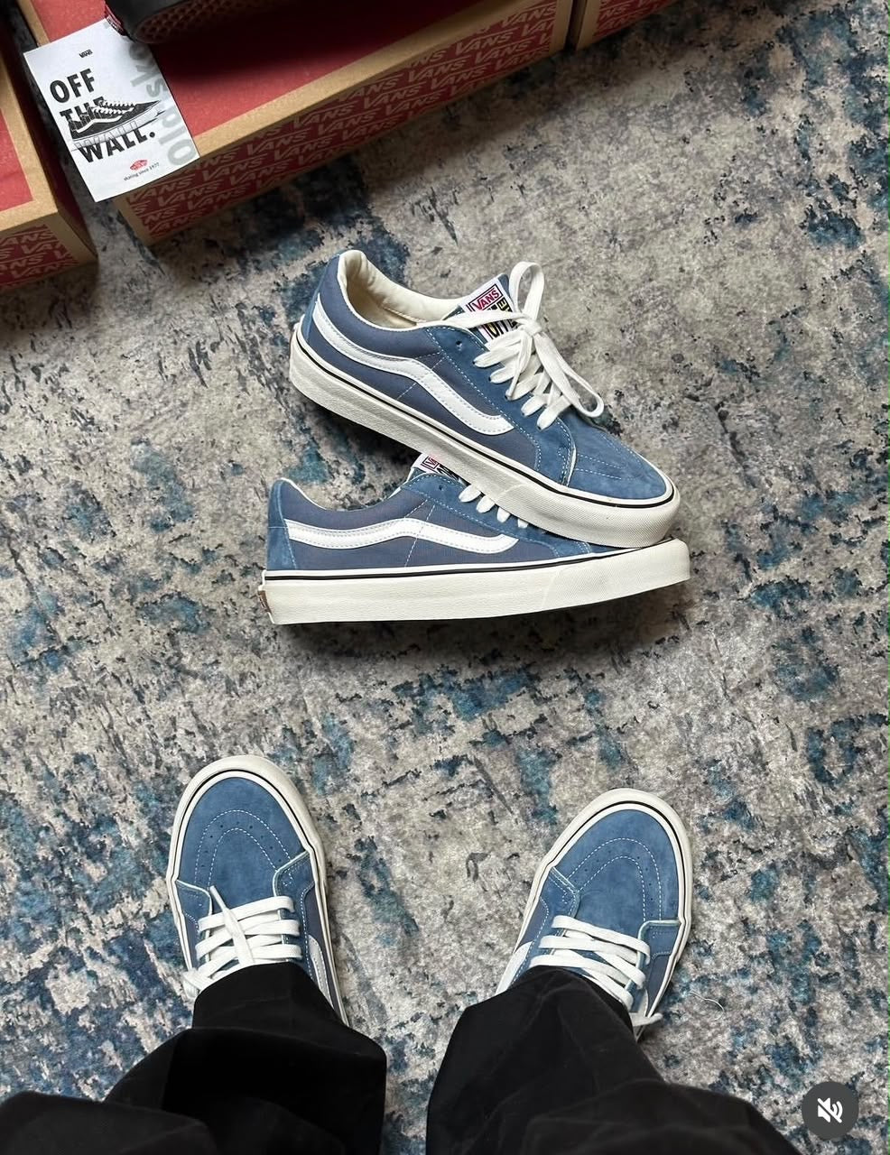 Baskets VANS Sk8-Low
