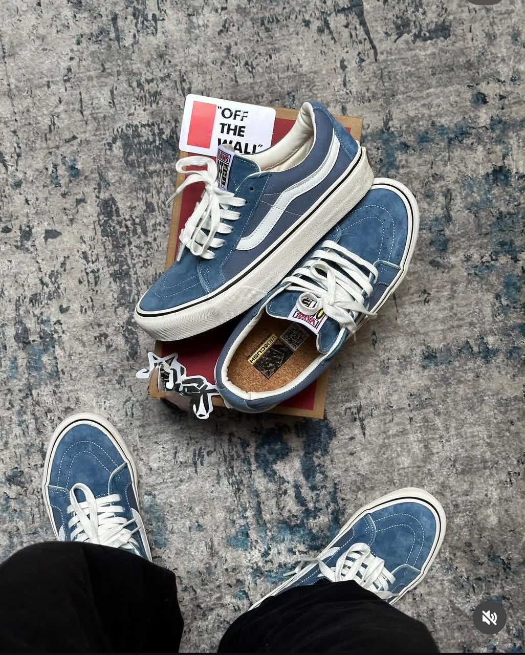 Baskets VANS Sk8-Low