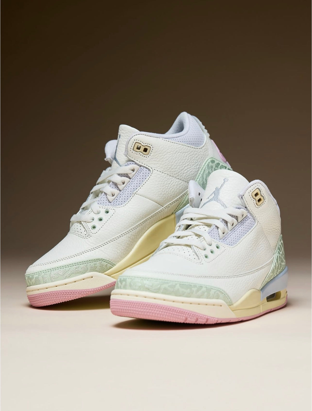 Nike Jordan 3 Low
