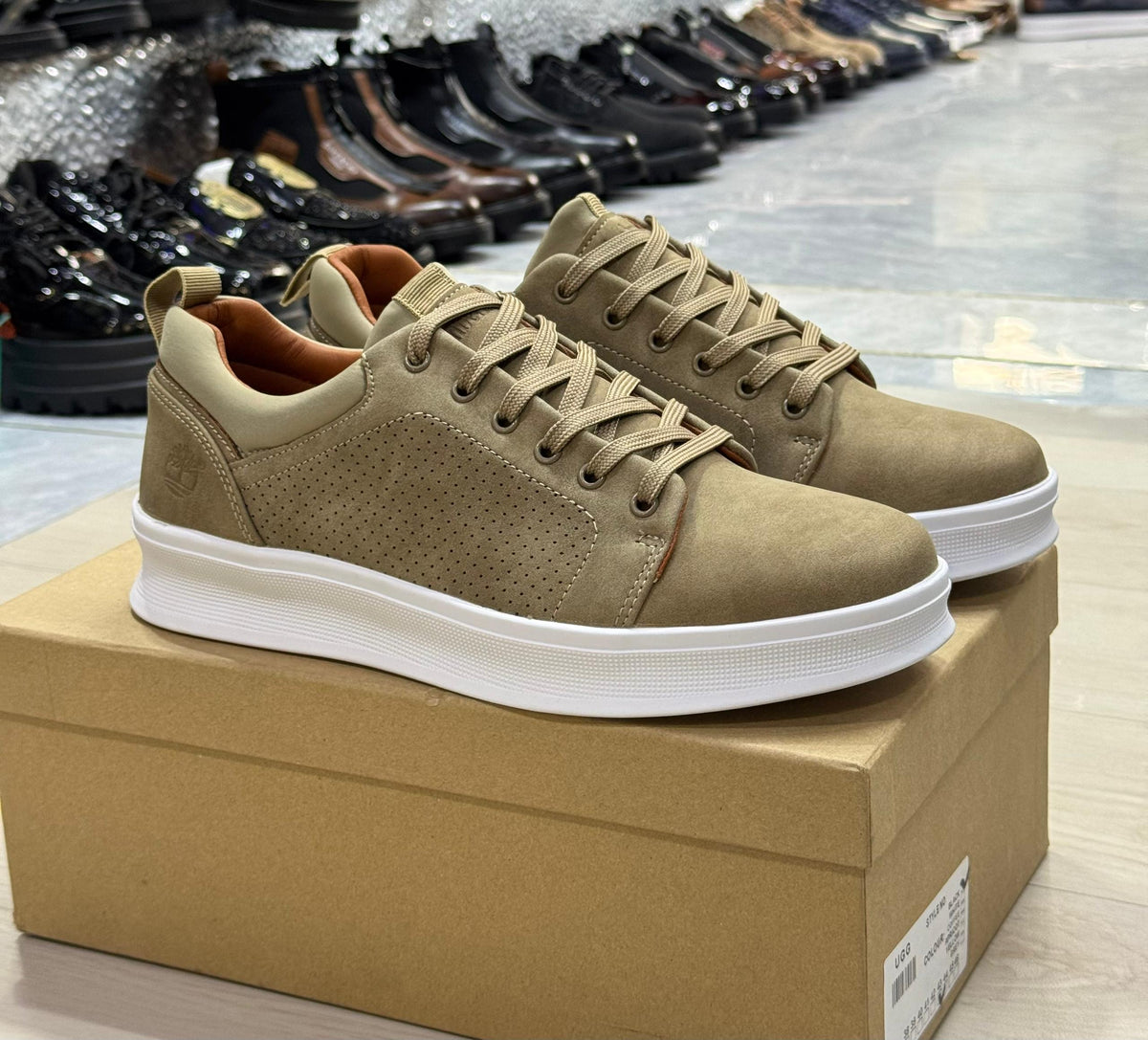 Chaussures Classique homme : Timberland