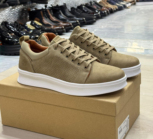 Chaussures Classique homme : Timberland